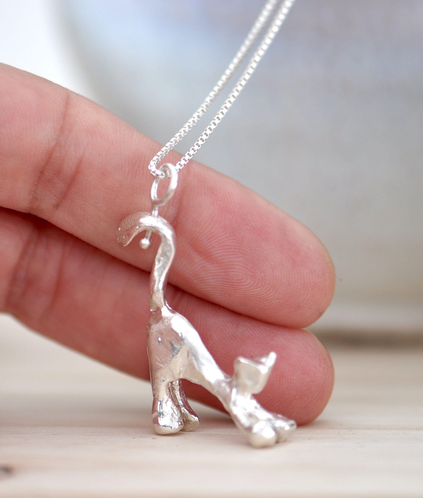 a hand holding a silver cat charm on a chain